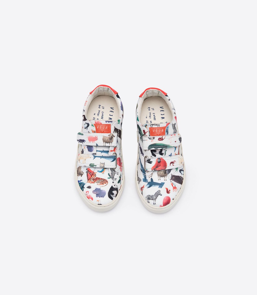 Tenis Veja Niños - Esplar Velcro Cuero - Multicolor - 946XSMNEB